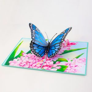 Butterfly in Flowers - Pop-up Card
