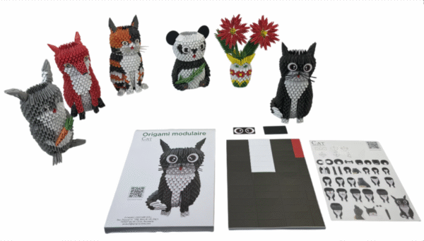 origami Photoroom 2